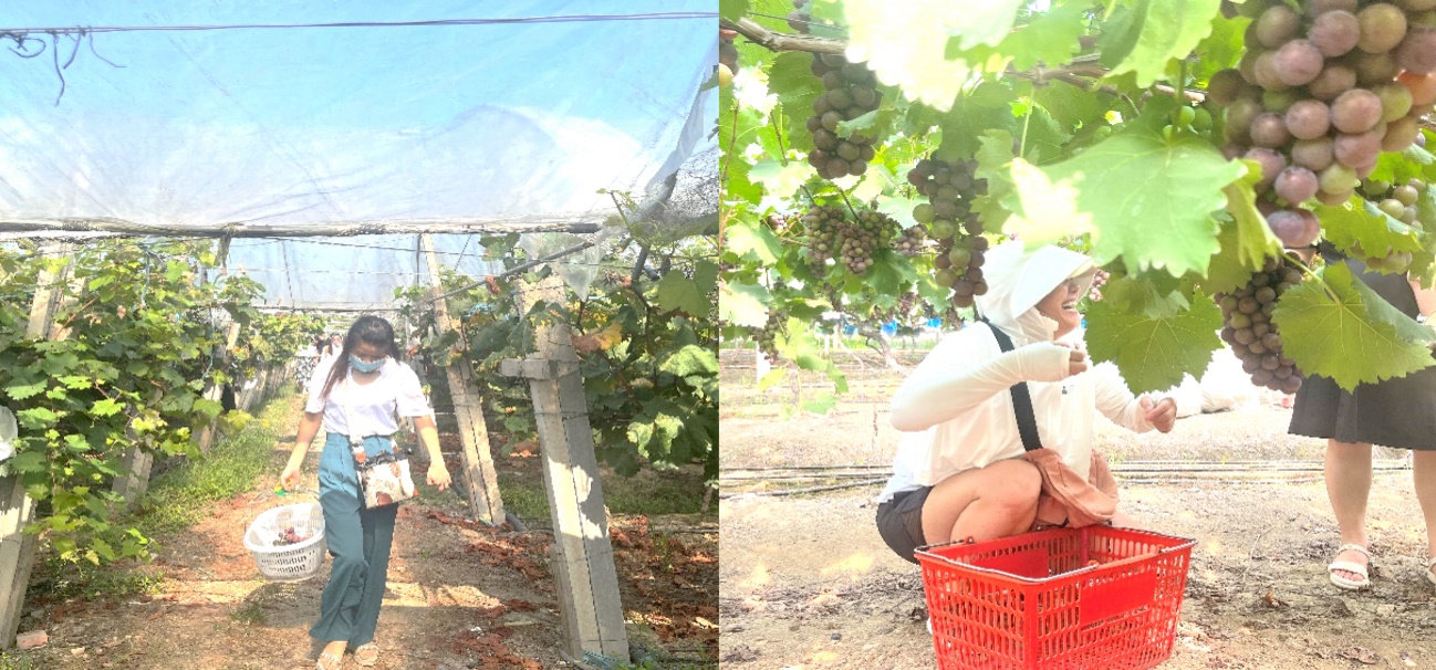 1691990856509070.jpg 1691990856509070.jpg